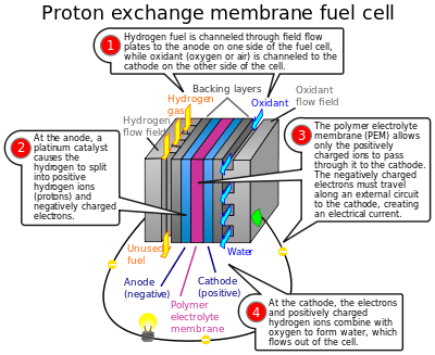 PEM (Proton Exchange Membrane) Fuel Cell